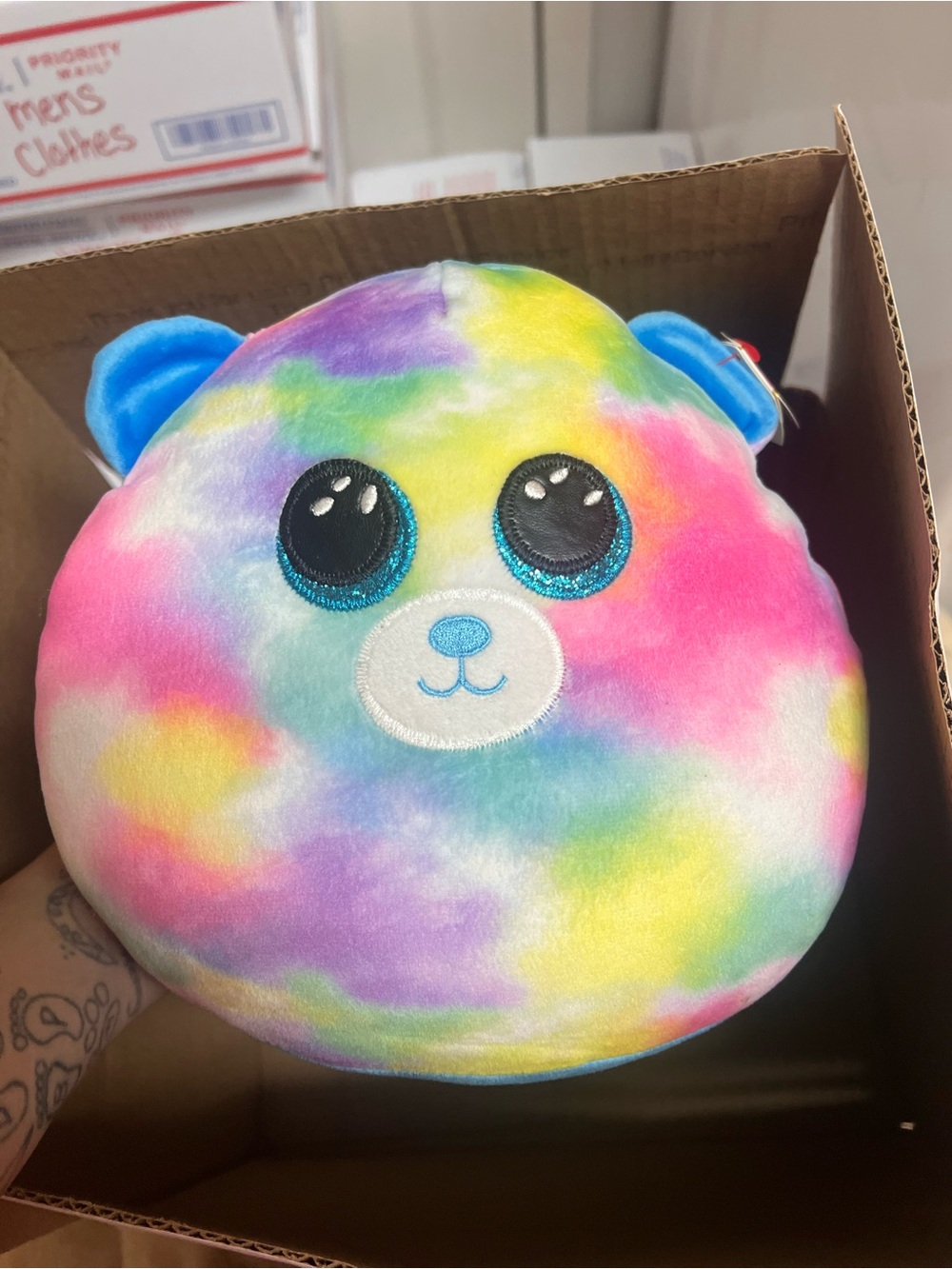 Plush Rainbow Bear